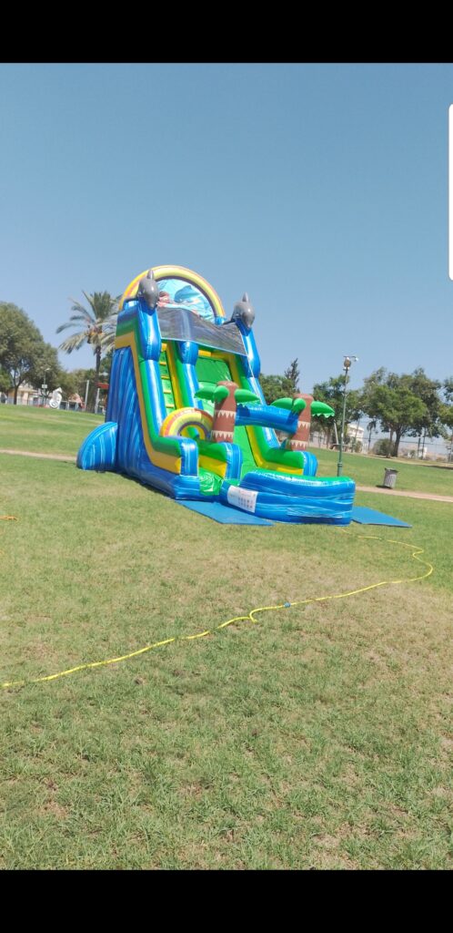 מתנםח מגלשת דולפינים