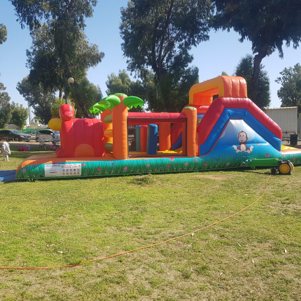 מתנפח אתגרון דקלים