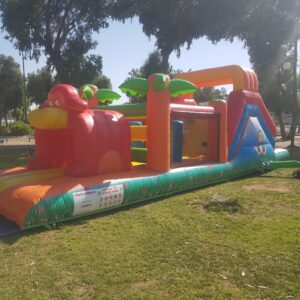 מתנפח אתגרון קופים